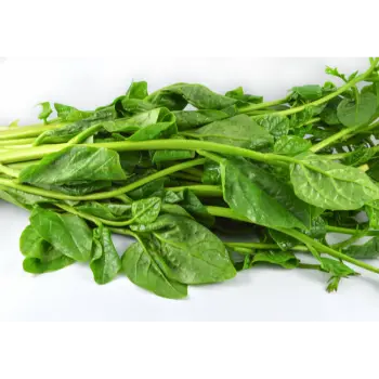 spinach (13)-9008318-37196.webp